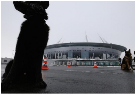 Putin Signs Animal Cruelty Ban in Russia, Activists Claim It's 'Fake News' Putin Signs Animal Cruelty Ban in Russia, Activists Claim It's 'Fake News'