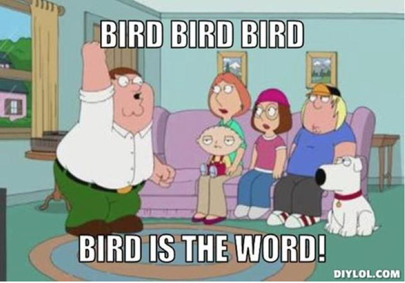 Bird is the Word