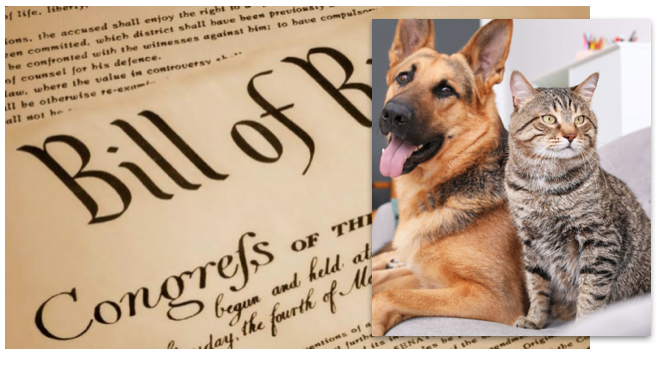 CA “Animal Bill of Rights” (AB 1881) Another “Feel Good” Political Ploy CA “Animal Bill of Rights” (AB 1881) Another “Feel Good” Political Ploy