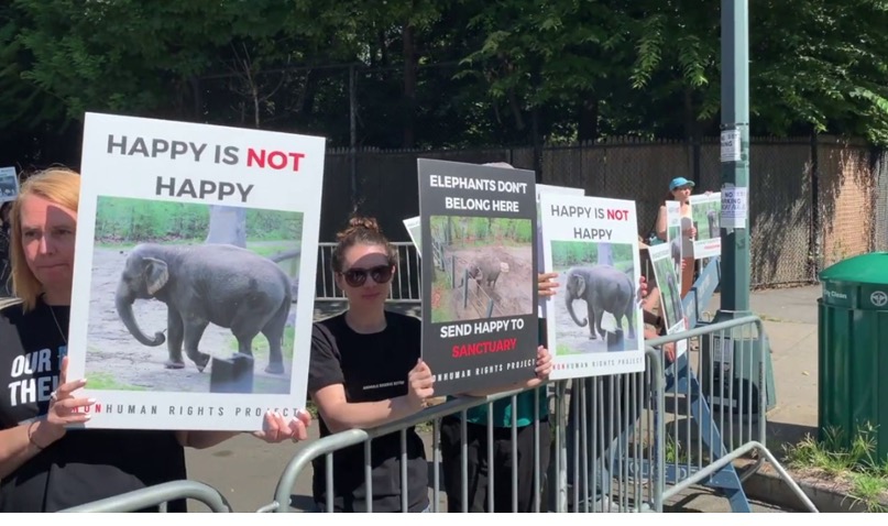 Court Rules: “Animals Do Not Have Rights” Court Rules: “Animals Do Not Have Rights”