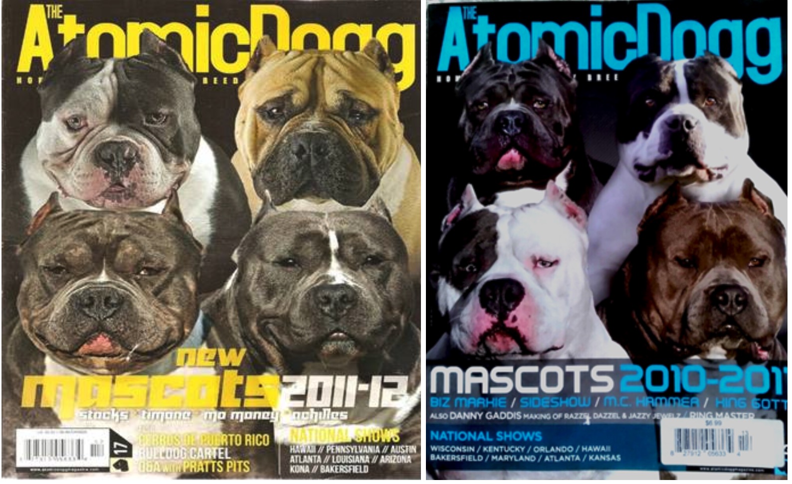american bulldog ban: American XL Bully dog breed banned in UK and Wales - The Economic Times