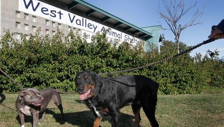 West valley shop animal shelter